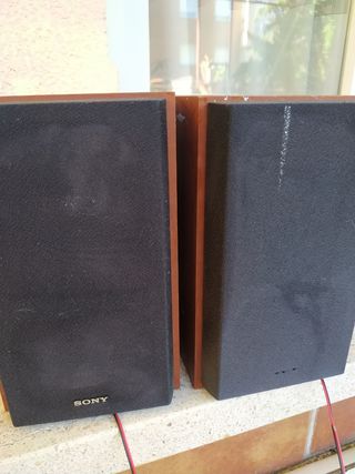 Altavoces Sony Marrones