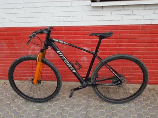 Bicicleta Vitoria Ergos 29 XTralight.
