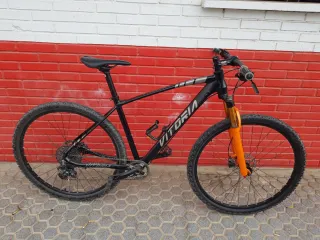 Bicicleta Vitoria Ergos 29 XTralight.
