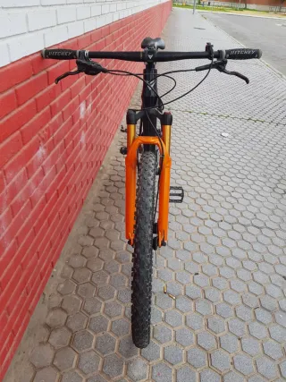 Bicicleta Vitoria Ergos 29 XTralight.