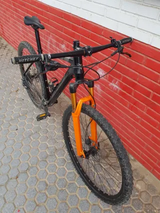 Bicicleta Vitoria Ergos 29 XTralight.