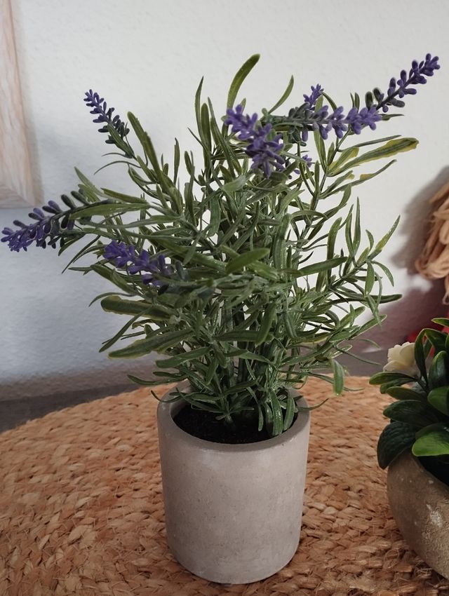 Dos plantitas artificiales decorativas