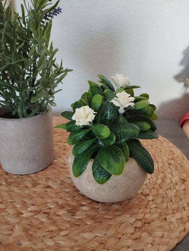 Dos plantitas artificiales decorativas