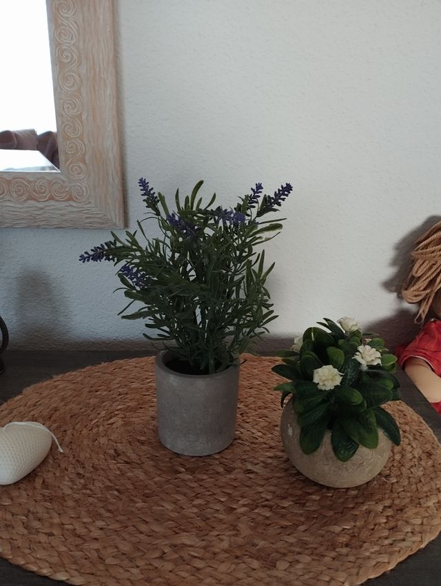Dos plantitas artificiales decorativas