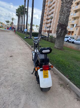 Citycoco Scooter Eléctrica Blanca