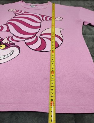 Camiseta Disney.