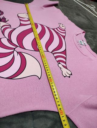 Camiseta Disney.