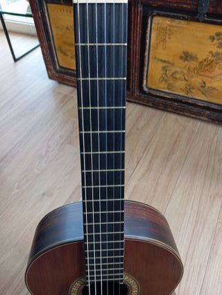 Guitarra Clásica Francisco Bros B70