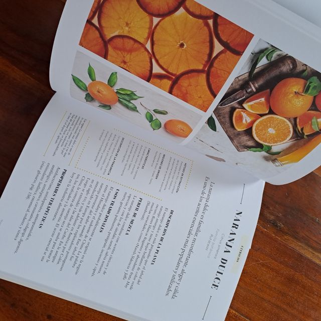 Aceites esenciales (2019): para meditar, respir...