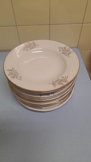 Lote 16 Platos Porcelana Vigo Dorados