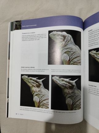 Libro diseño digital de personajes