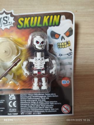 Lego Ninjago Wu vs Skulkin