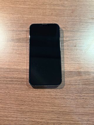 iPhone 13 Pro 256GB Plata.  como nuevo
