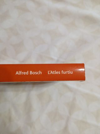 L'atles furtiu: Premi Sant Jordi de Novel·la, 1997