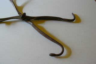 FORCEPS