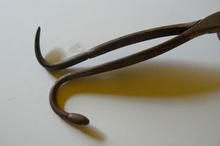 FORCEPS