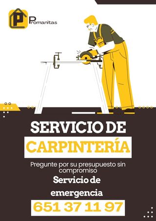 Carpintero profesional