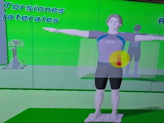 Wii FIT NINTENDO