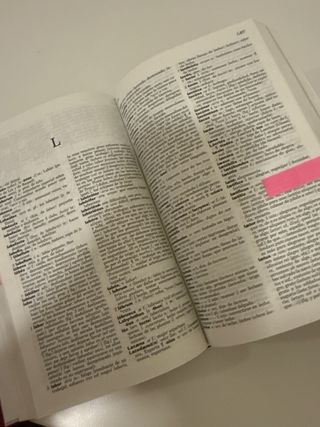 DICCIONARIO ILUSTRADO LATÍN INCLUYE EL LIBRITO