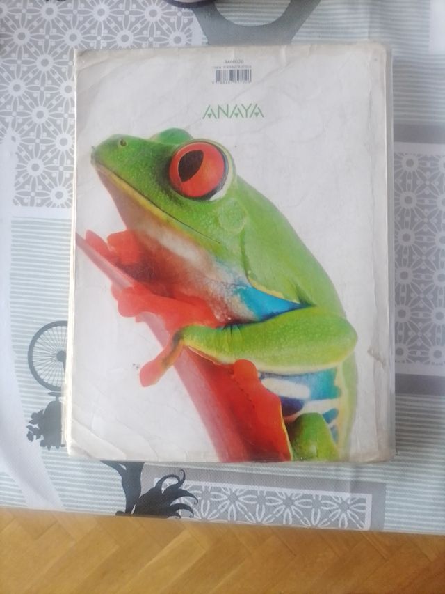 Biología y Geología 1 bachillerato