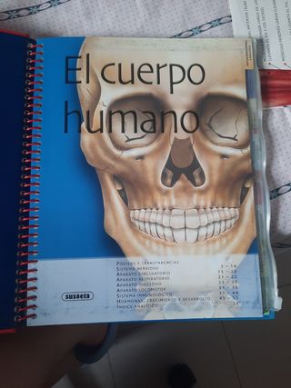 El cuerpo humano (Spanish Edition)
