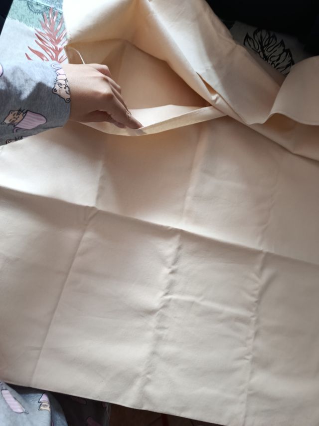 Dustbag Louis Vuitton Beige