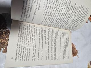 El Violín del Diablo - Joseph Gelinek