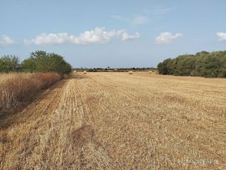 Terreno en venta en Algaida