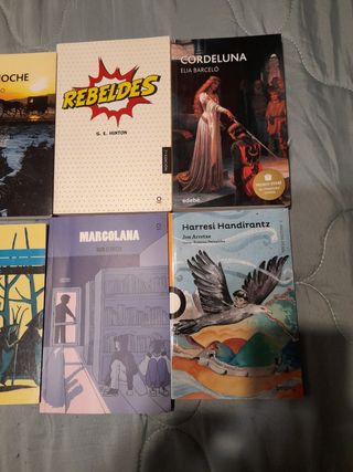 LOTE Libros Español y Euskera de la ESO