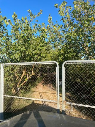 Finca rústica con terreno en término de Bollullos 