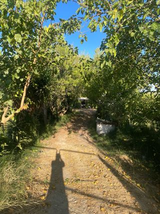 Finca rústica con terreno en término de Bollullos 