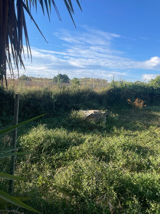 Finca rústica con terreno en término de Bollullos 