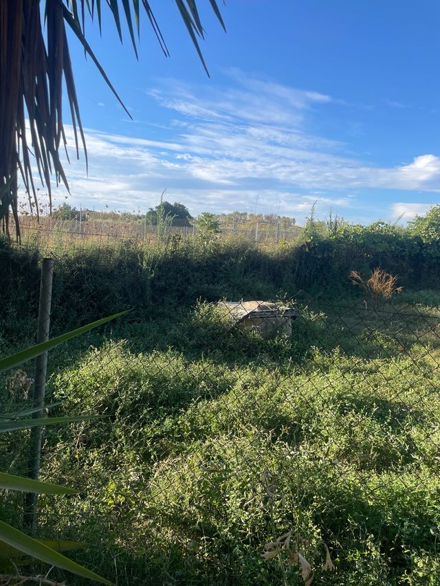Finca rústica con terreno en término de Bollullos 