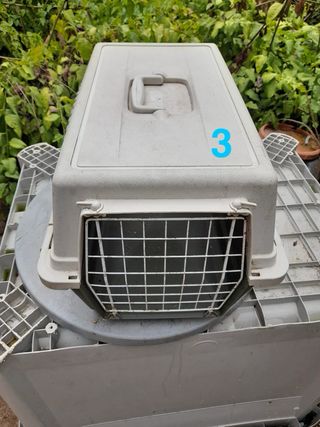 Transportin animales