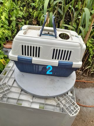 Transportin animales