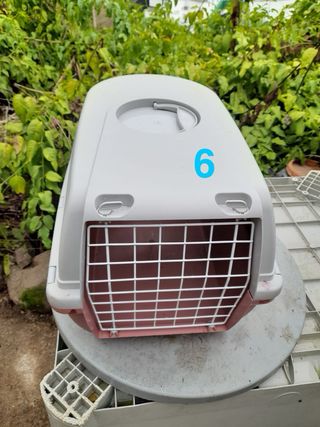 Transportin animales