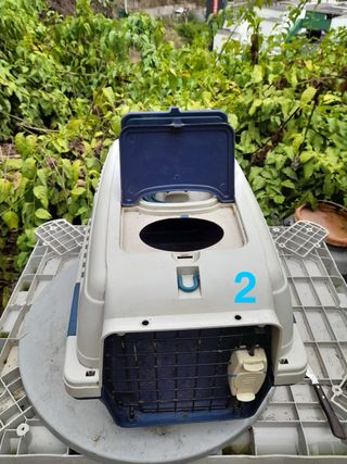 Transportin animales