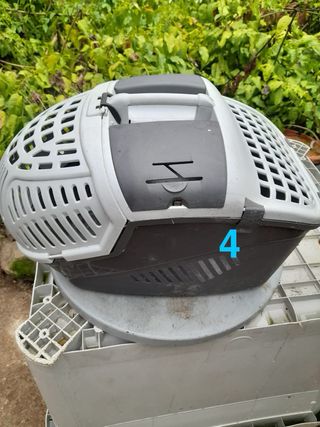 Transportin animales