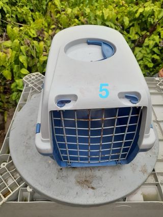 Transportin animales