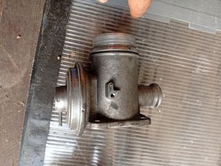 Válvula EGR BMW X5 E53