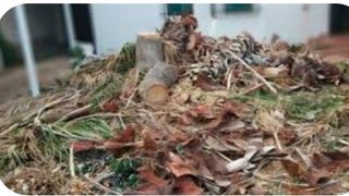  retirada poda y desechos de jardinería