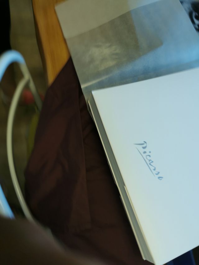 Libro de La Celestina Edición de Coleccionistas