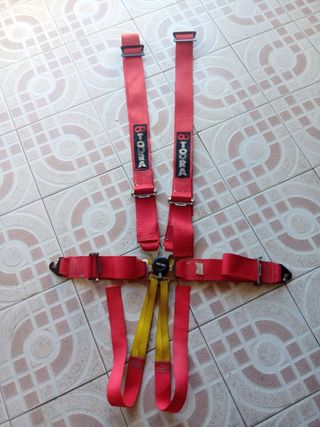 Cintos Rally TOORA 6 pontos