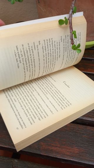 Diario de una ninfómana