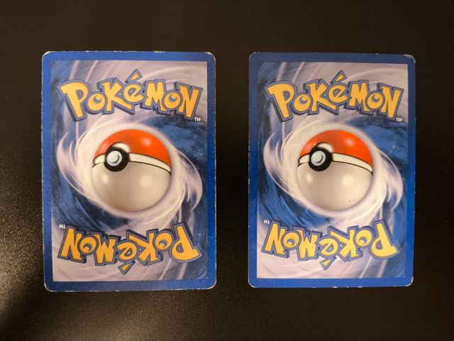 Lotto Carte Pokémon Squirtle e Wartortle