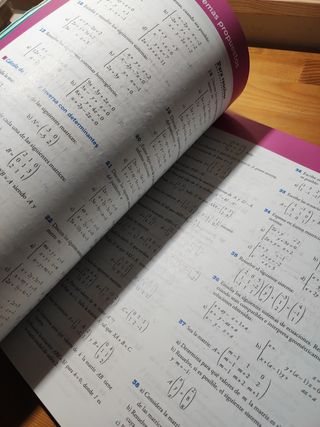 Matemáticas aplicadas a las Ciencias Sociales II.