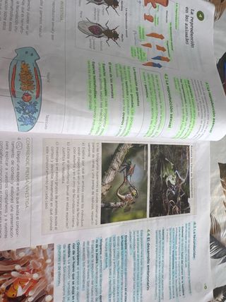 Biología y Geología 1º de la eso