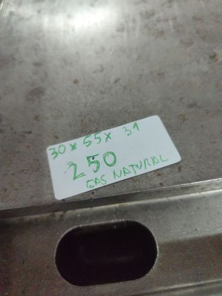 Plancha industrial Repagas