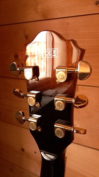 Guitarra eléctrica Ibanez Tipo 335