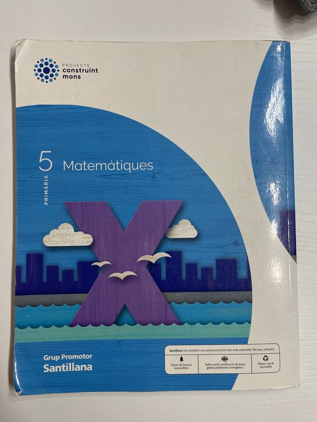 MATEMATIQUES 5 PRIMARIA CONSTRUINT MONS